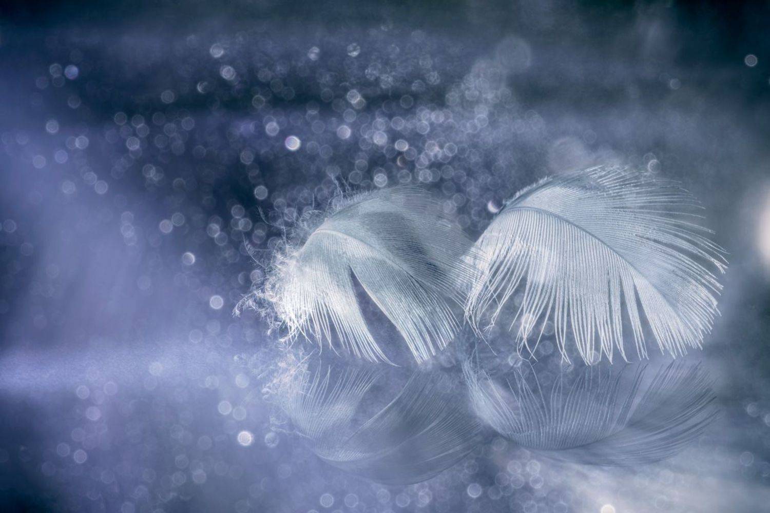 , Игорь Копцев