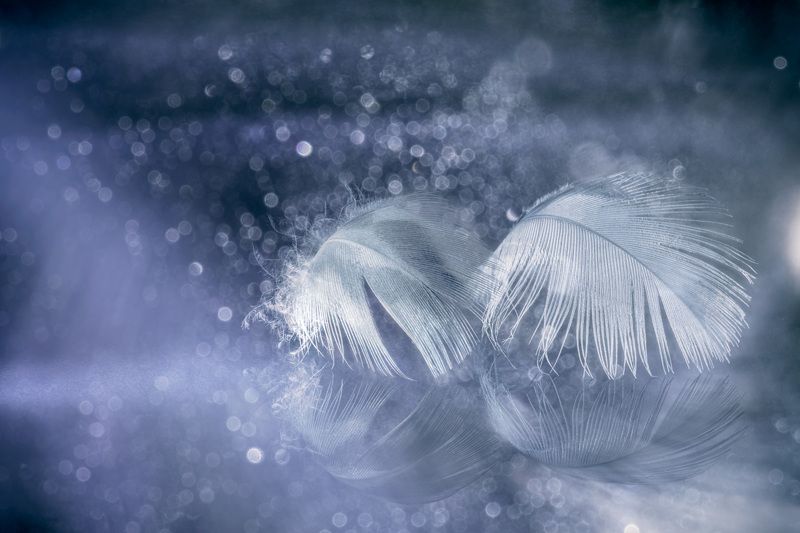 Relaxed silence фото превью