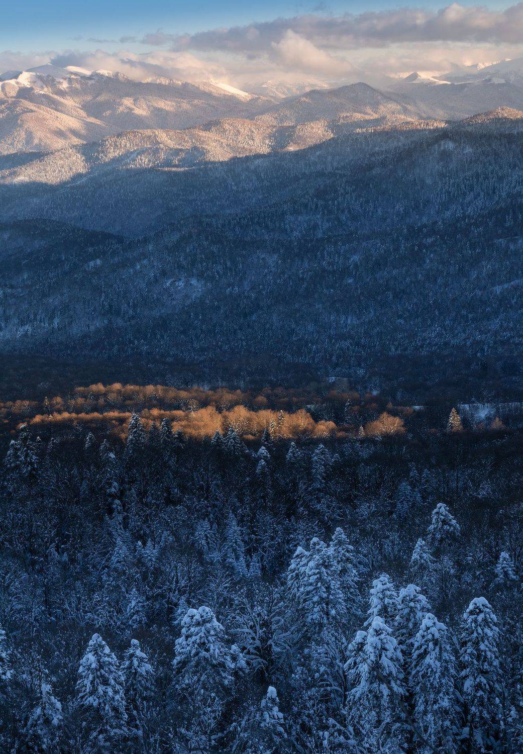 , Михаил Гапонов