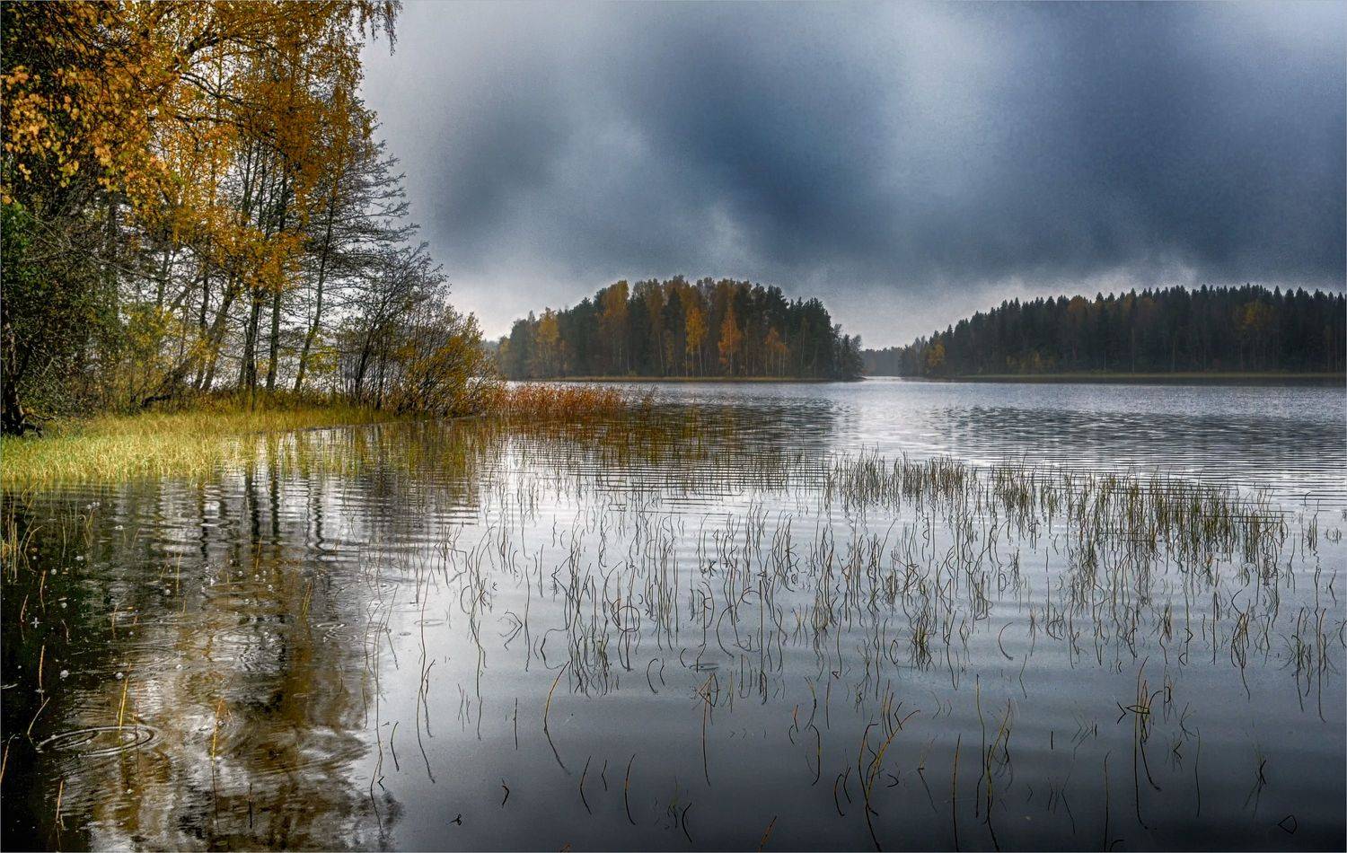 озеро трава деревья облака, Вера Петри
