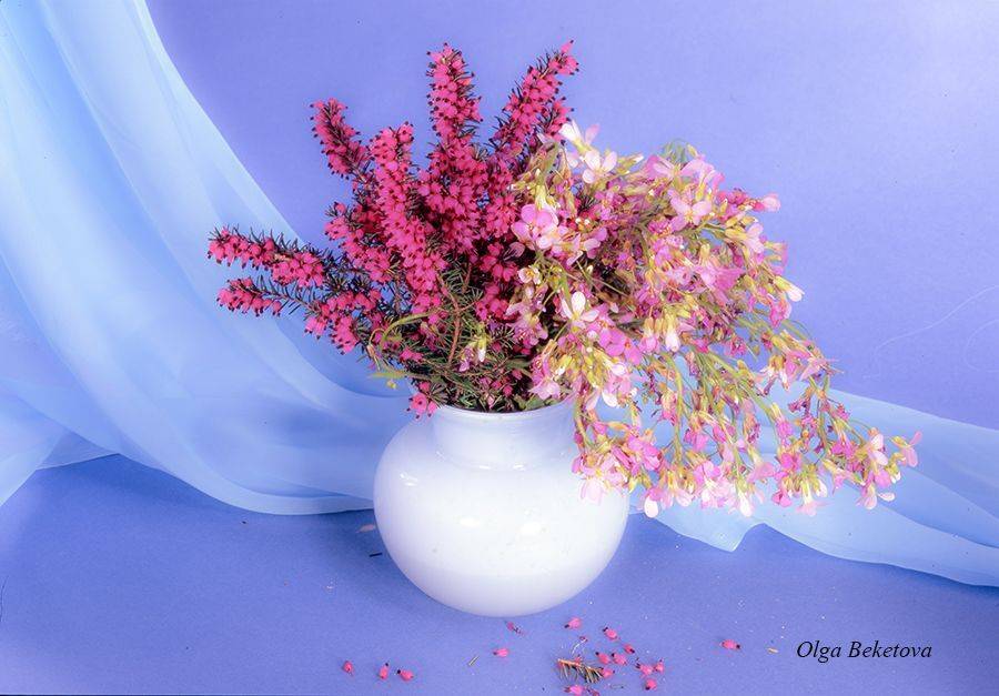 вереск, натюрморт, цветы, Бекетова Ольга