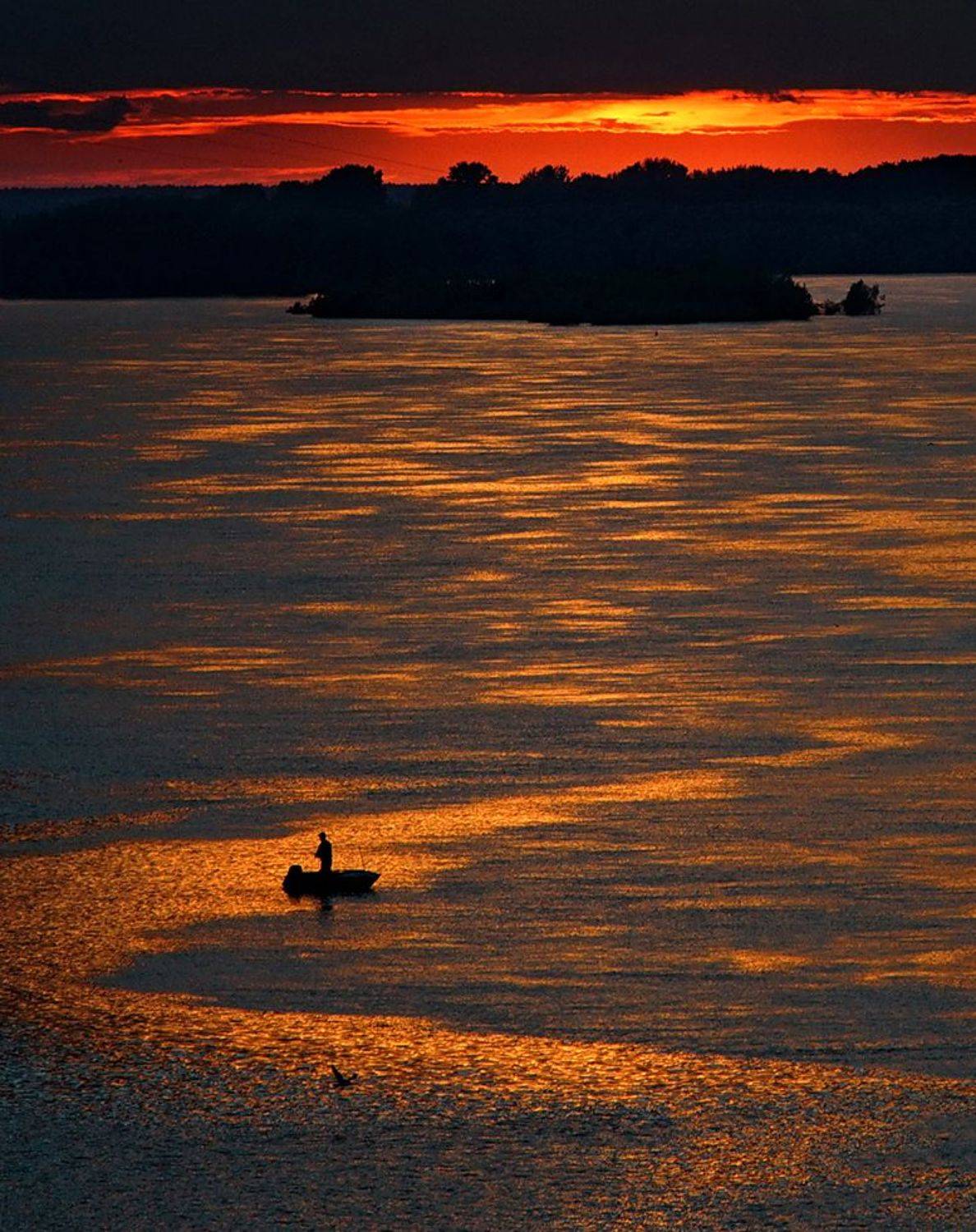 , Алексей Родак