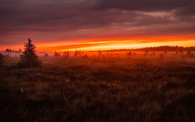 ....... фото превью