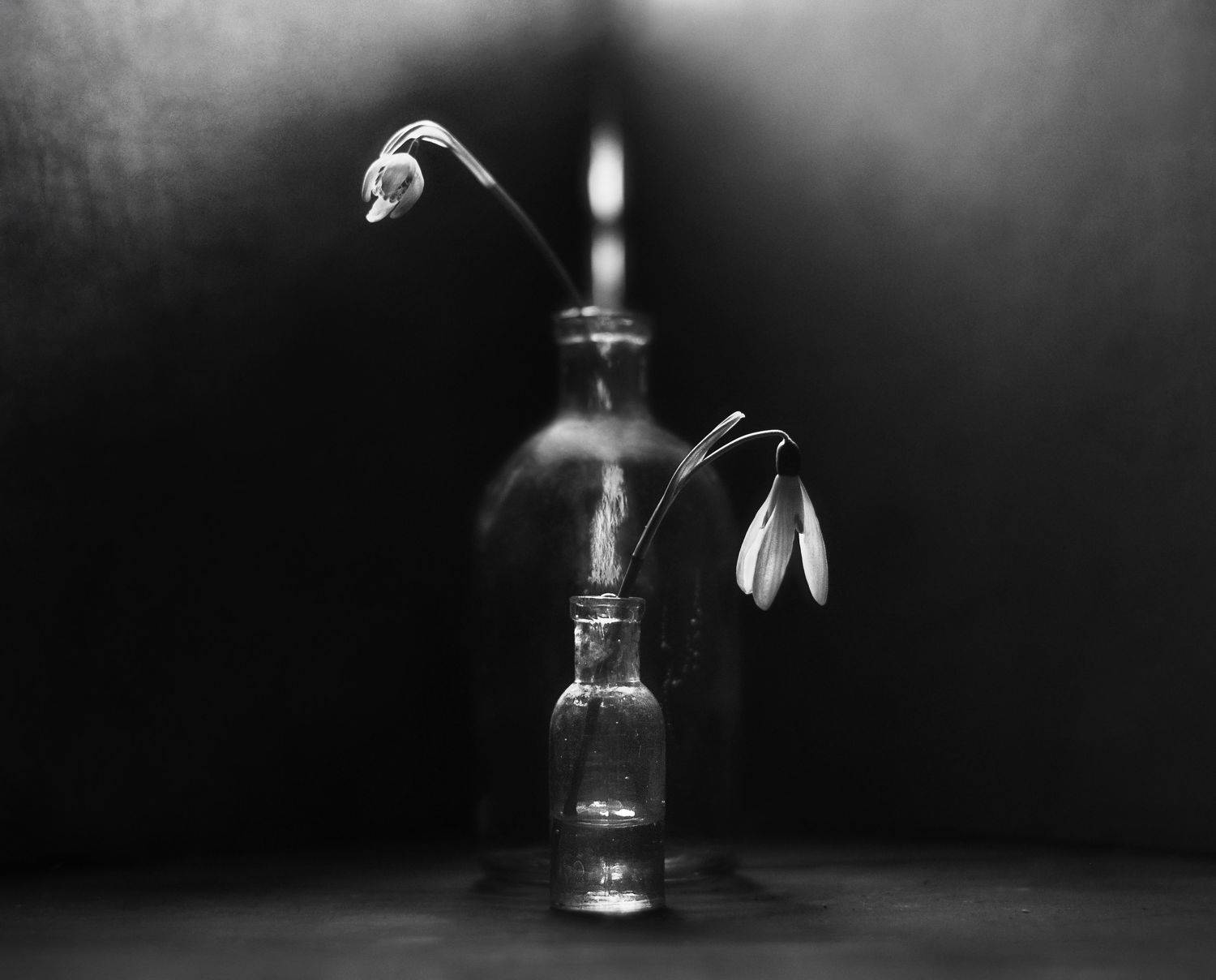 натюрморт, чёрно-белое, цветы, весна, подснежники, Буглак Инна