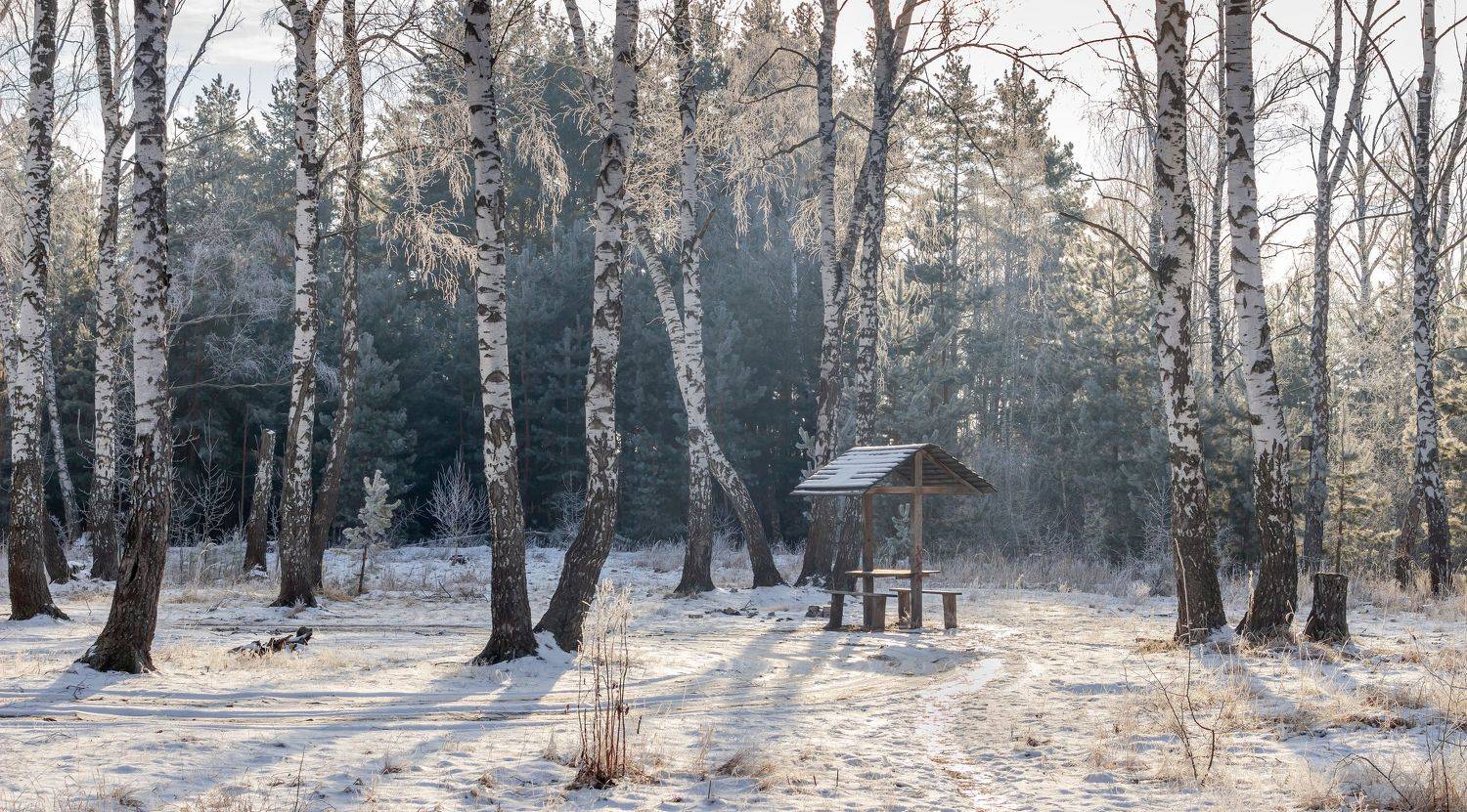 лес, деревья, зима, иней, природа, Востриков Руслан
