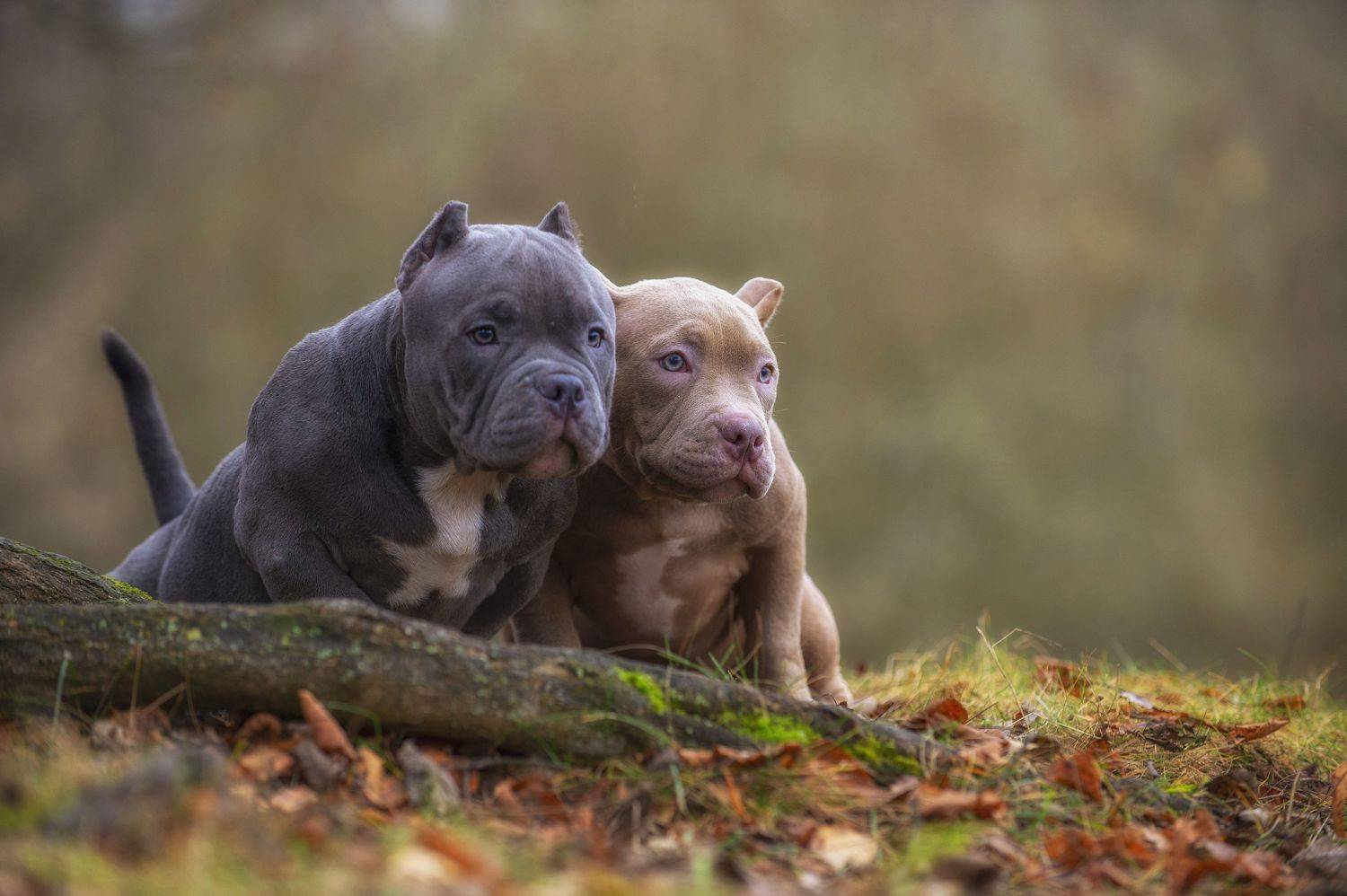 , Кулаков Юрий