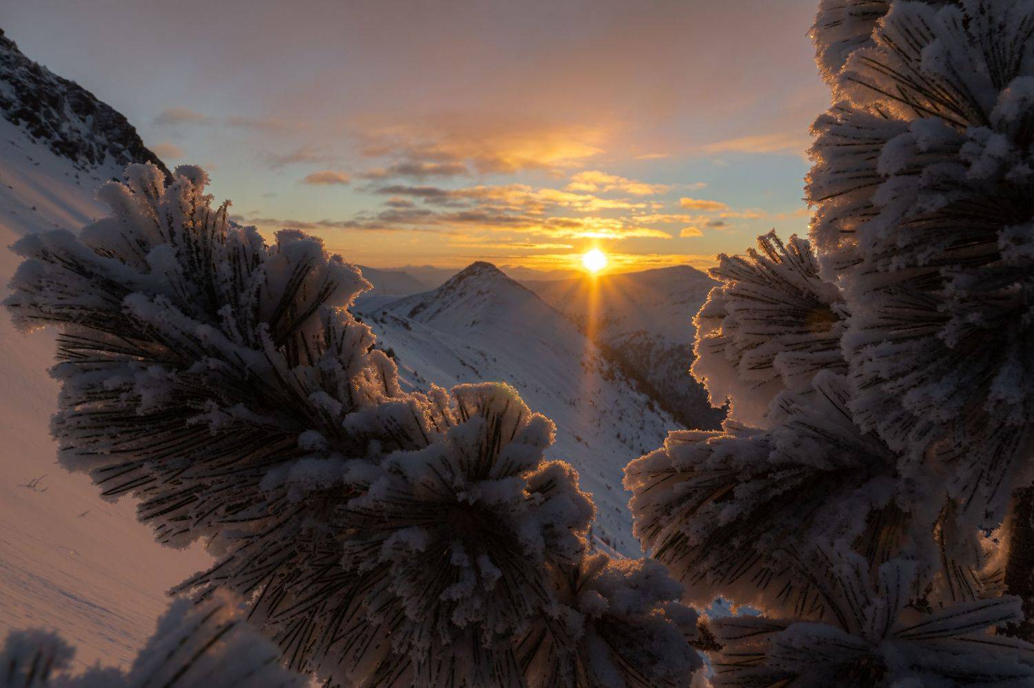 горы, хамар-дабан, рассвет, зима, Тильпунов Михаил