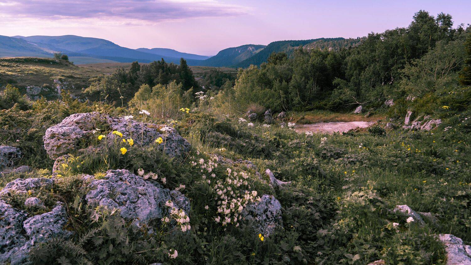 , Вадим Коваленко