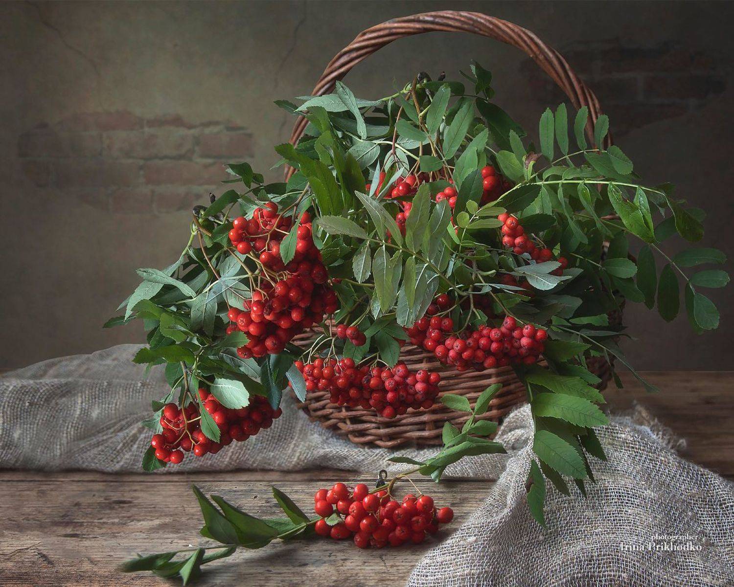натюрморт, рябина, ветки рябины, корзина, деревенский, Приходько Ирина