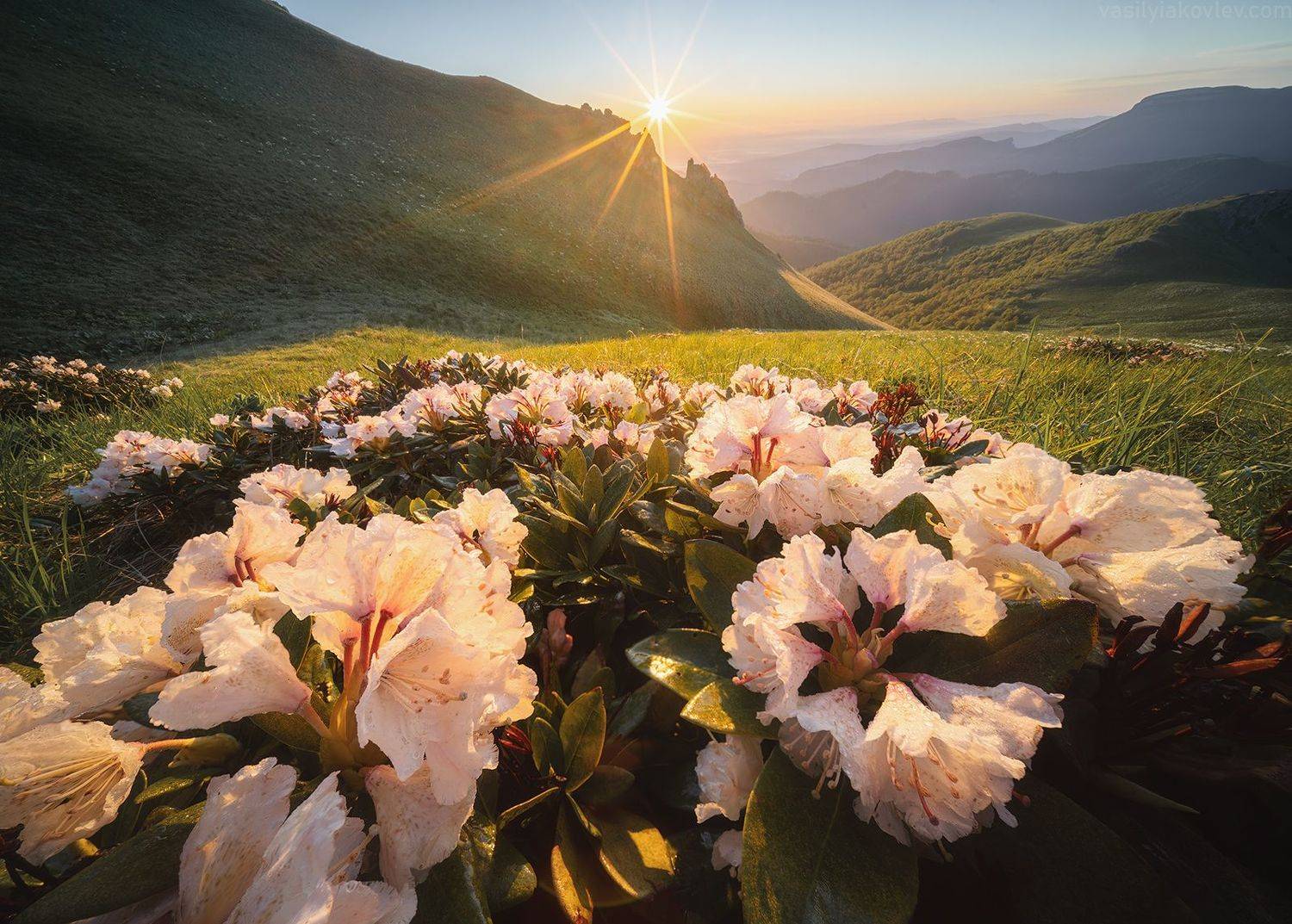 тхач, большой тхач, фототур, яковлевфототур, кавказ, адыгея, Василий Яковлев