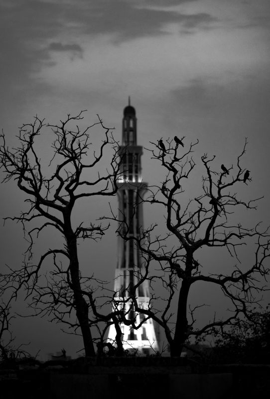 blackandwhite white color grey black birds evening  a maze of unlighted passages фото превью