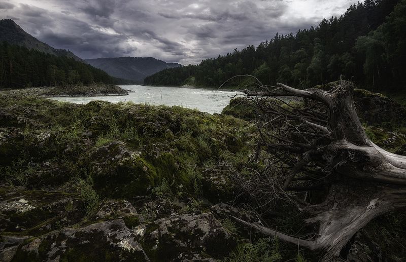 *** фото превью