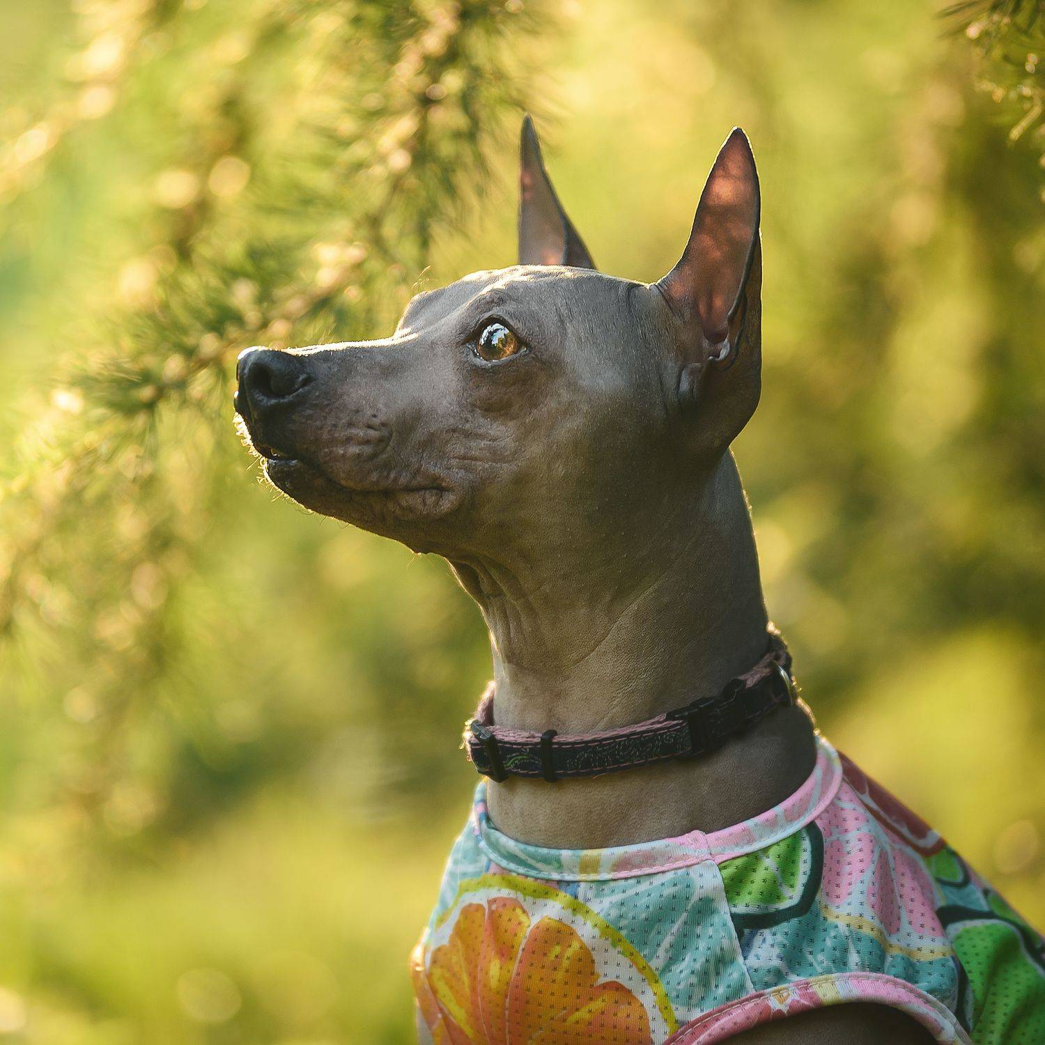 , Коптилина Галина