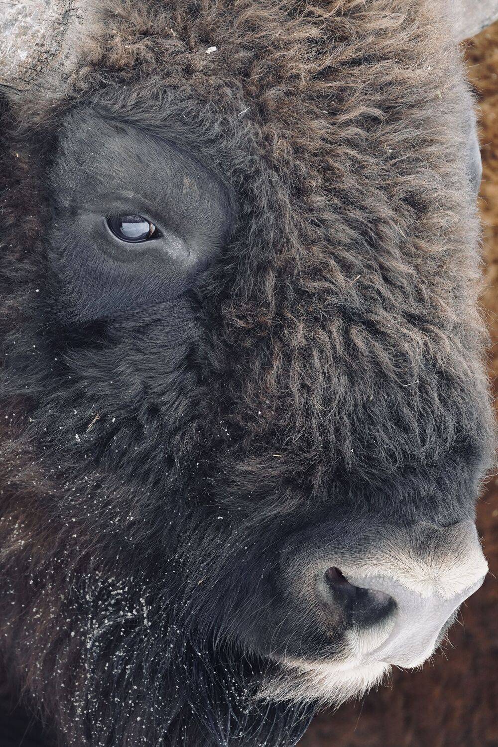 , Илья Марченко