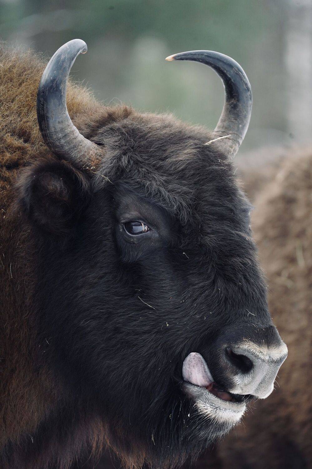 , Илья Марченко