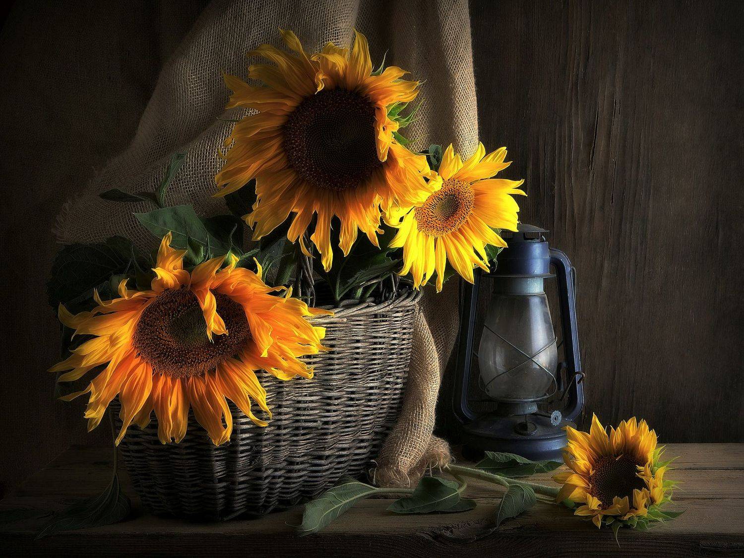 сергей алексеев, натюрморт, Сергей Алексеев