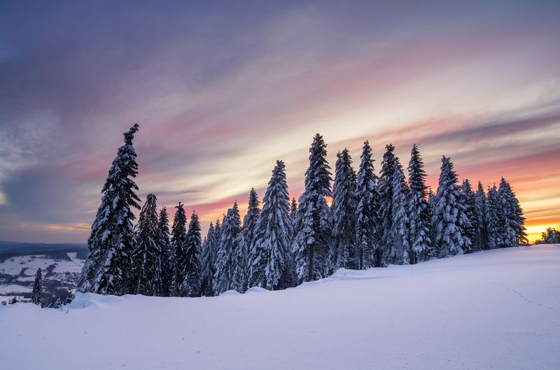 winter colors фото превью