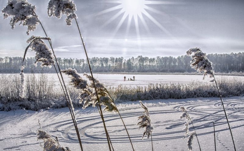 Озеро Орлово зимой фото превью