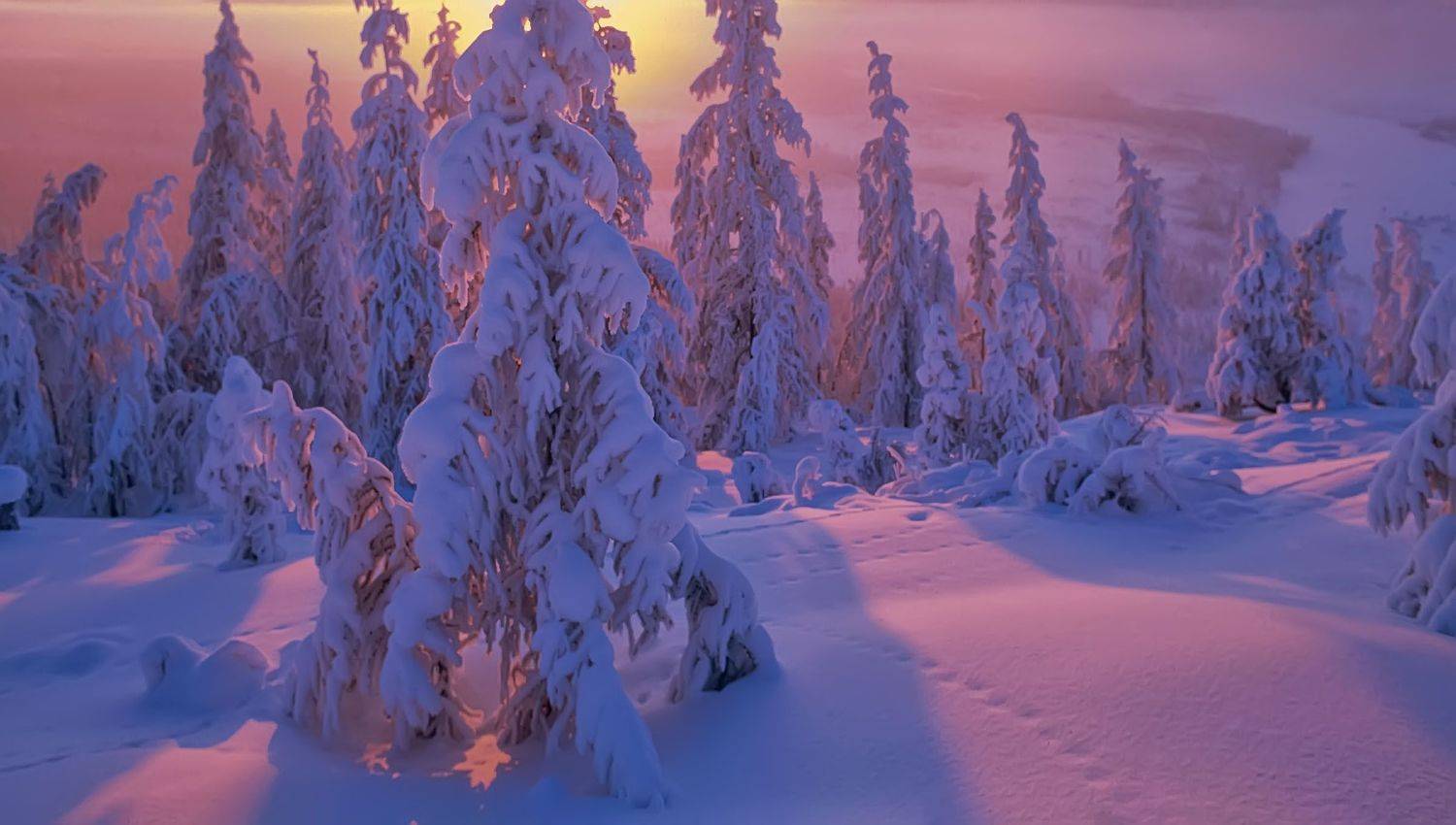 Фототуры С Владимиром Рябковым, #topnature #russpasibo #magic_shots #lovelyRussia #sunset_vision #exclusive_sky  #exclusive_shots #loves_russia2 #photoarena_nature #nature_sultans #nature_perfection #rsa_sky #rsa_sunset #photorussia #rsa_naturepics #sunse, Владимир Рябков