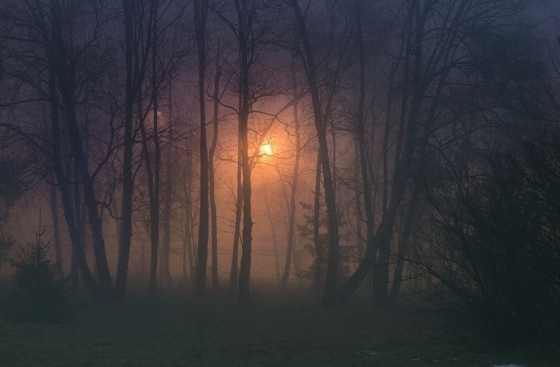 Ночной туман фото превью