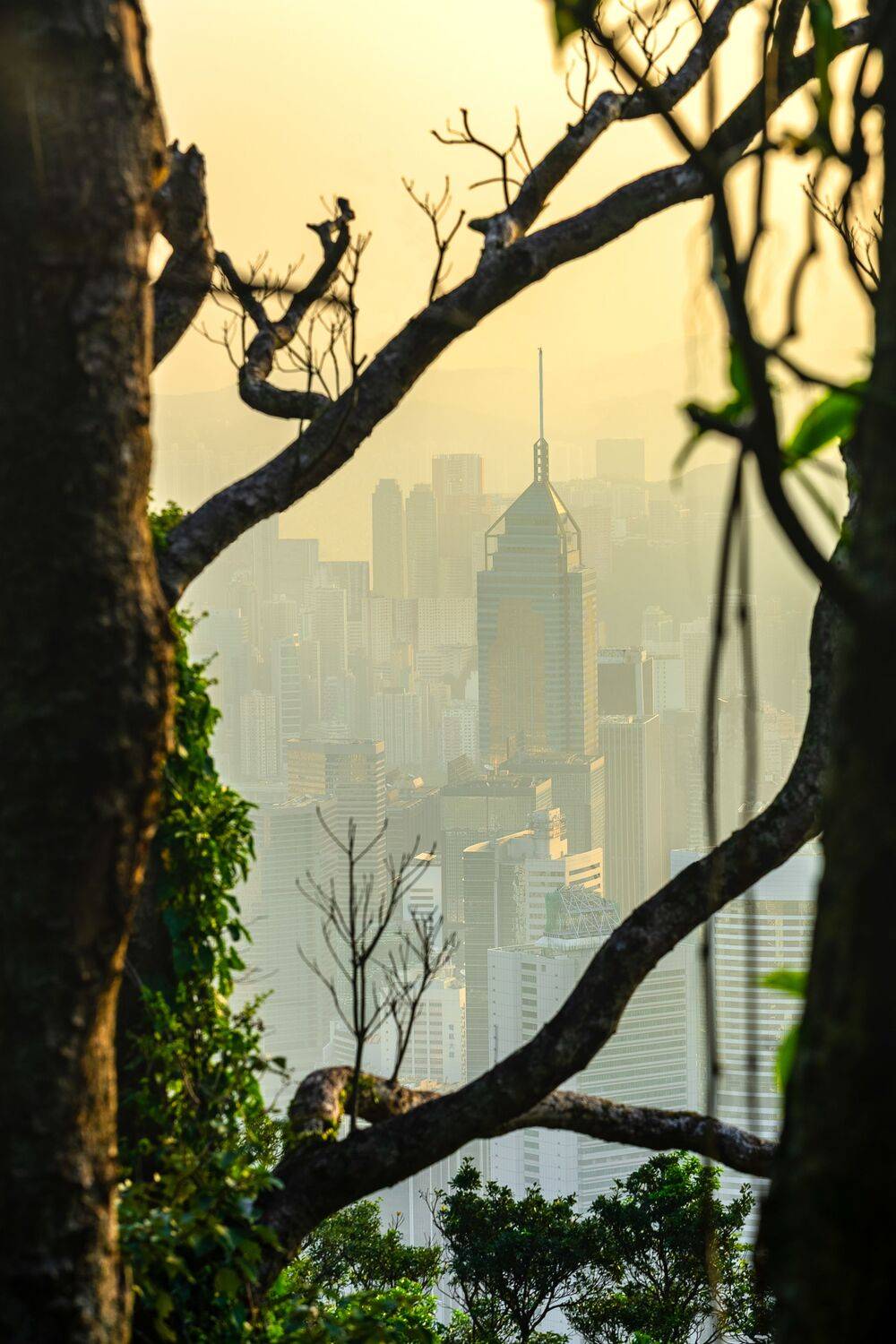 гонконг архитектура cityscapes рассвет , Kirill Tsybenko