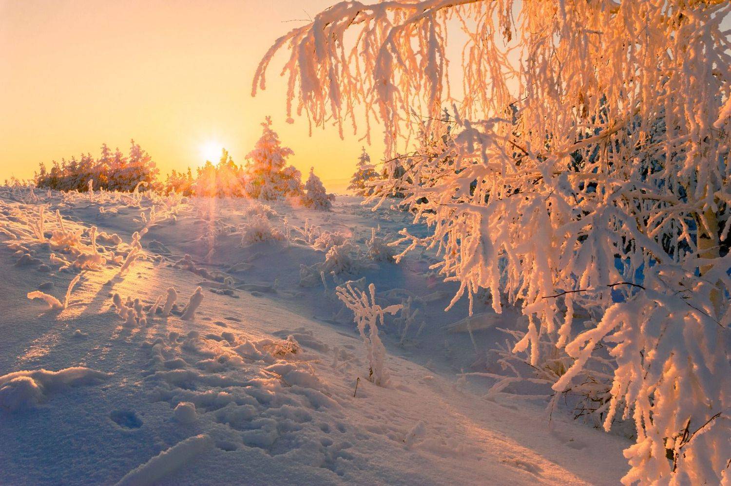 зима закат иней, Шустиков Дмитрий