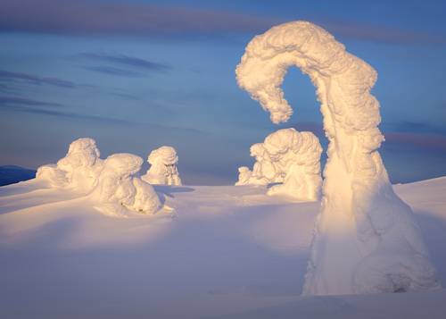 Силуэты... / Silhouettes...