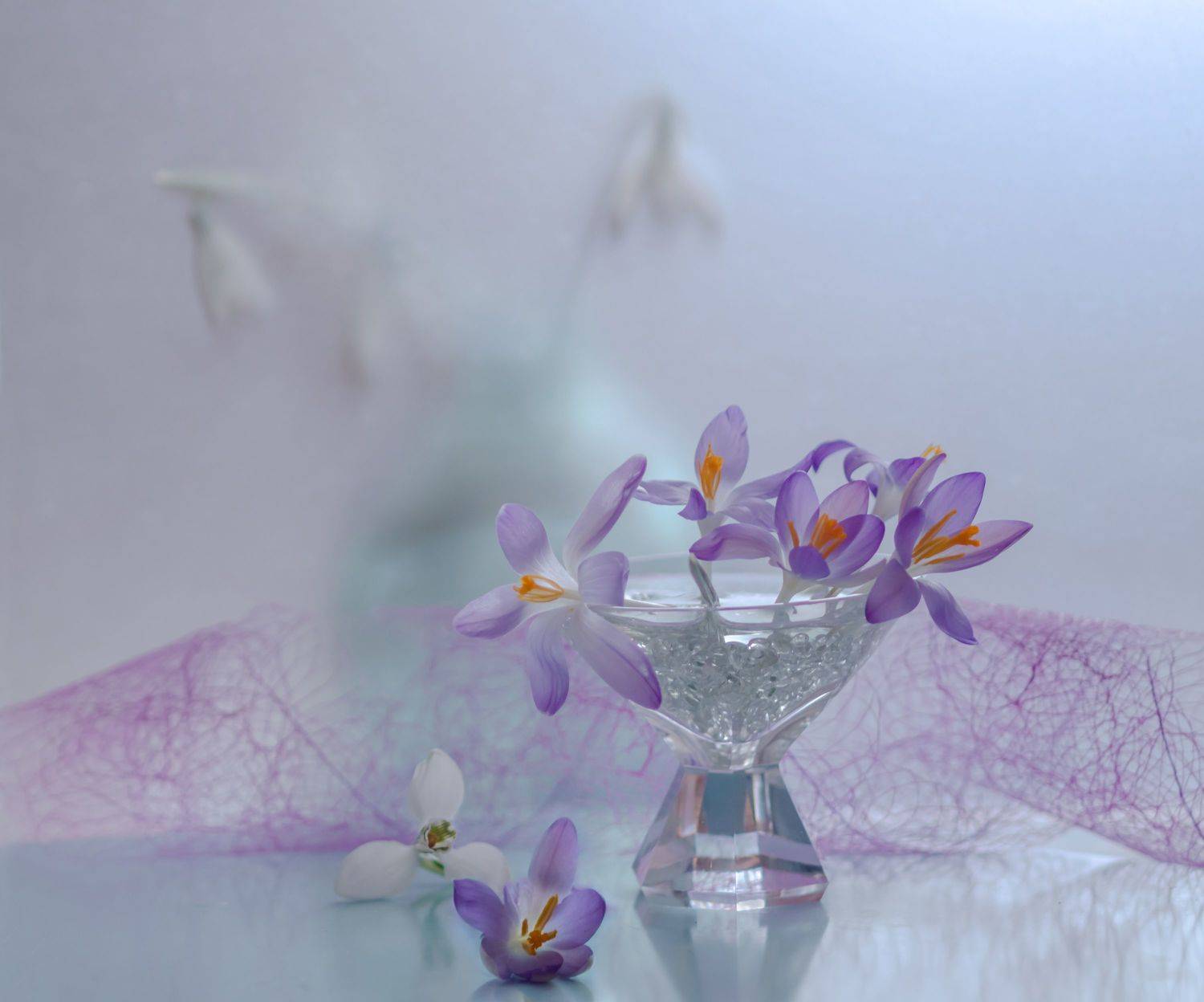 натюрморт,цветы,этюд,вазы,стекло,лепестки,фиолетовый,крокусы,подснежники,весна,февраль,, Антонина Яновска