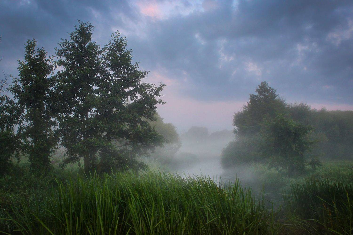 , Игорь Денисов