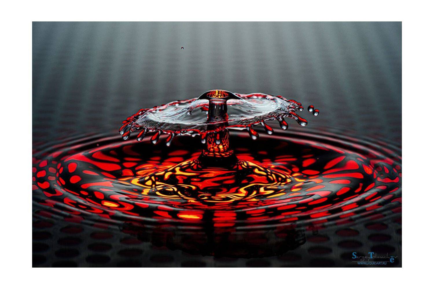 вода, капли, жидкость, макро, всплеск, сергей толмачев, liquidart, water, splash, waterdrop,, Сергей Толмачев