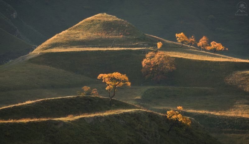 дагестан, террасы, чох, фототур в дагестан, кавказ, фототур на майские праздники, деревья, холмы Жизнь на склонах фото превью