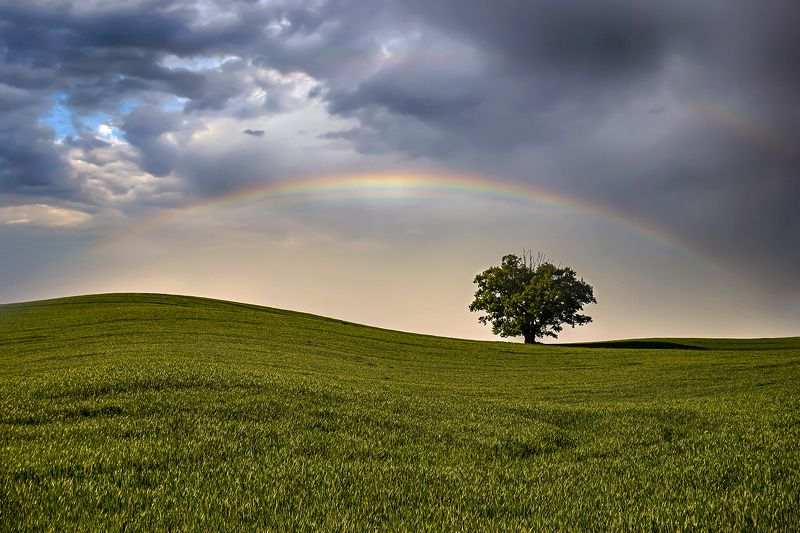 ...... фото превью