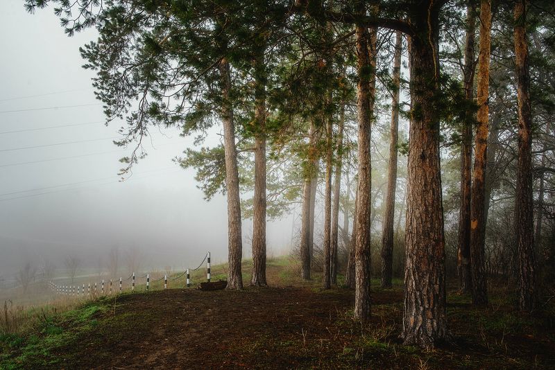 Утренний туман уходит тихонько туда, куда ему надо… фото превью
