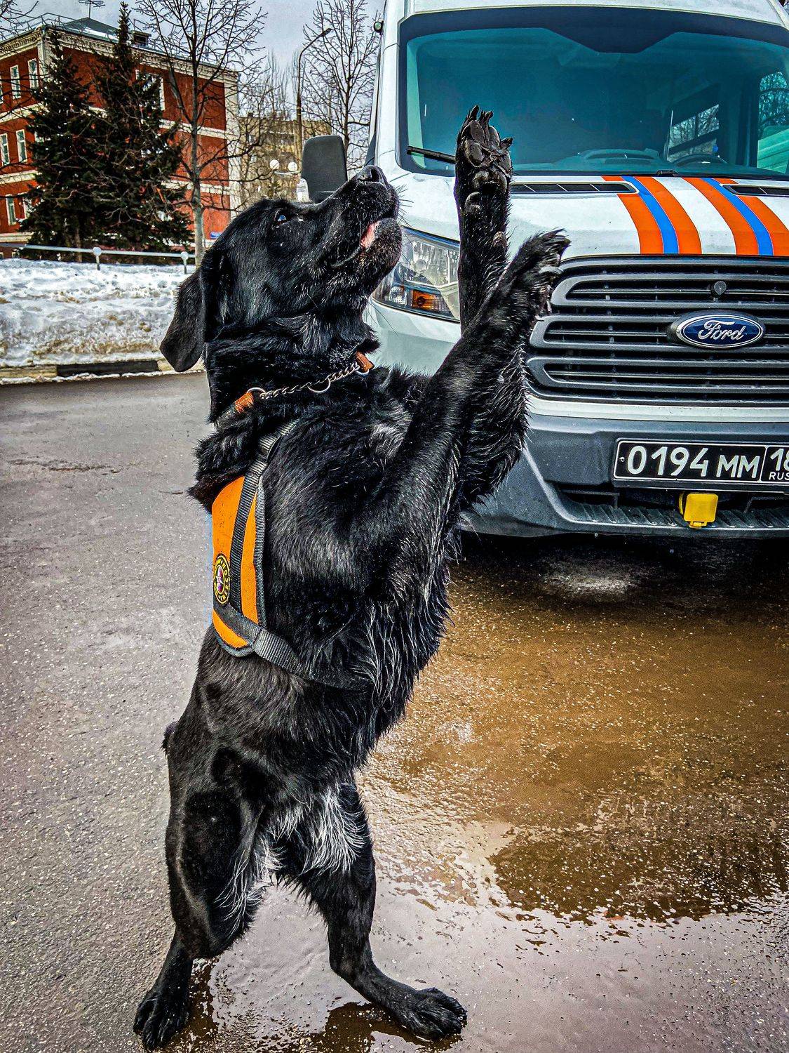 , Сергей Лашнев