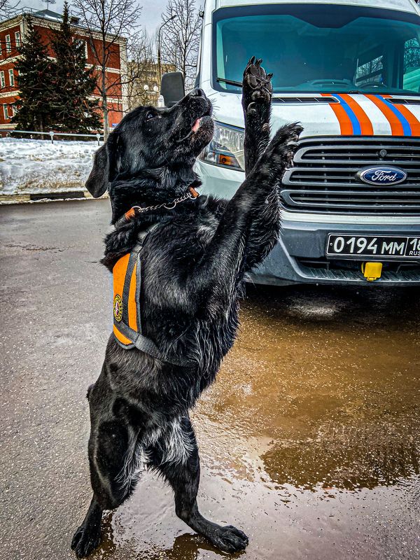 фото превью