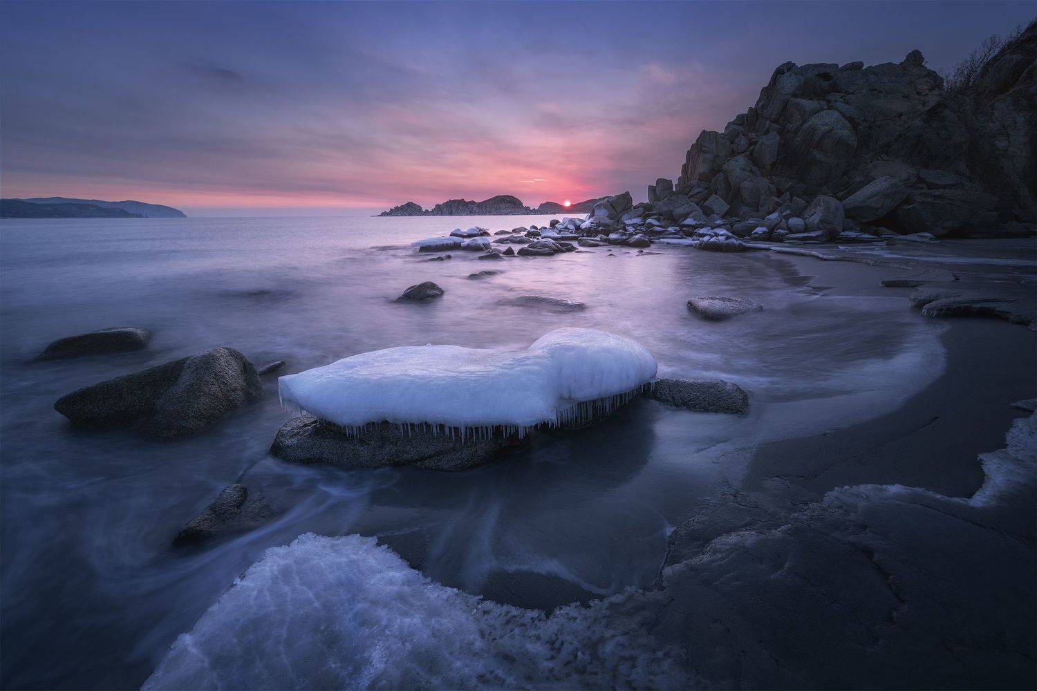 , Политова Анна