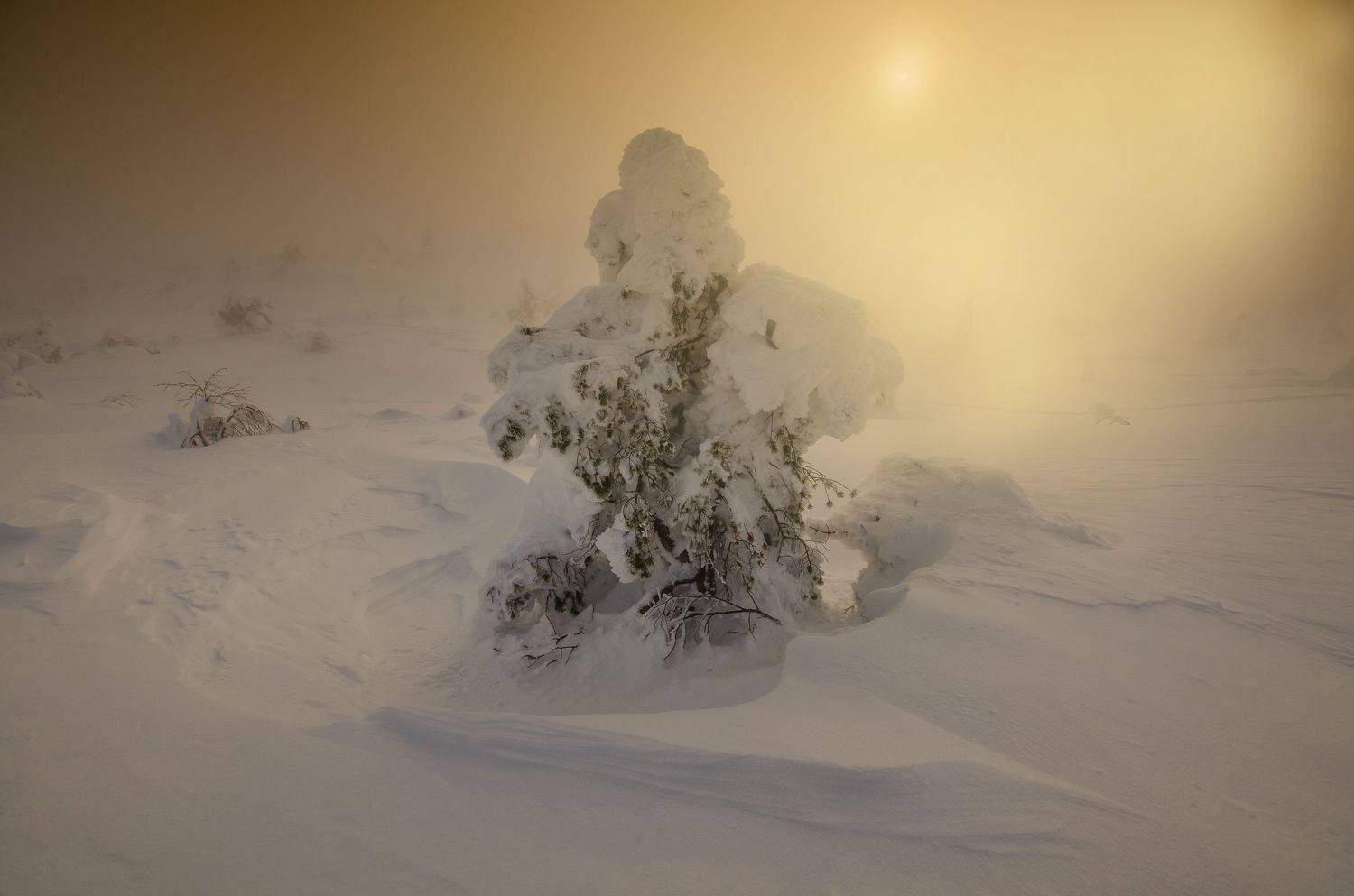 , Абрамов Денис
