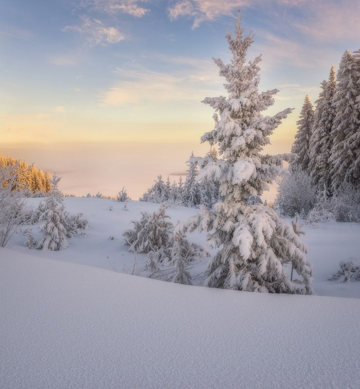 В снежном безмолвии фото превью