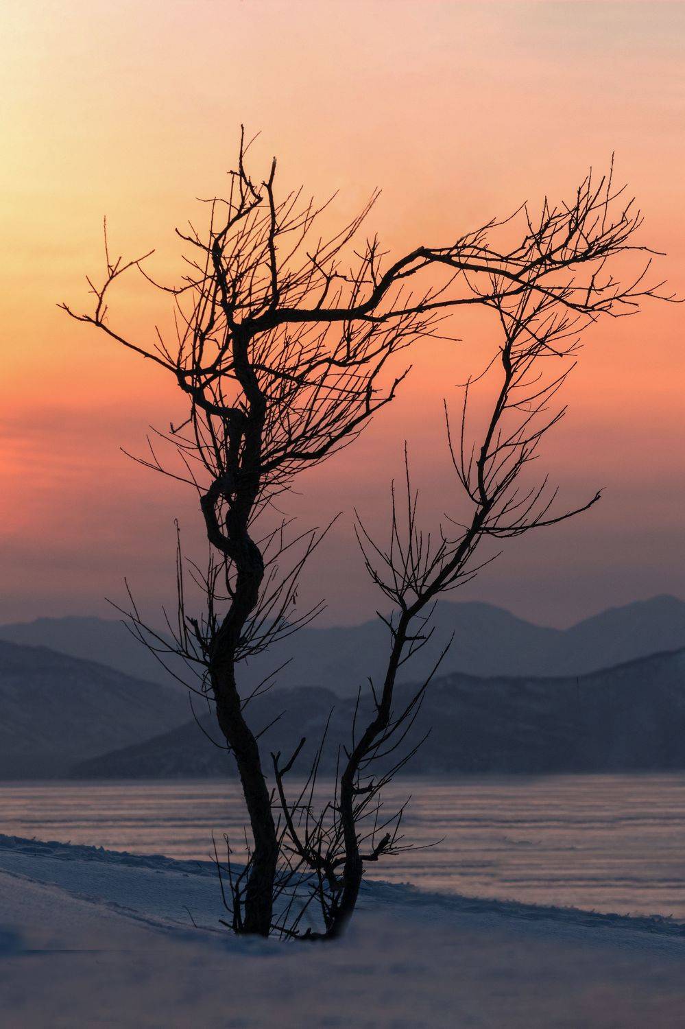 , Наталья Королева