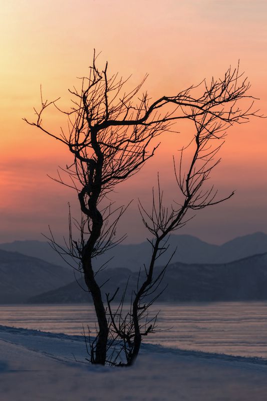 В свете заката фото превью