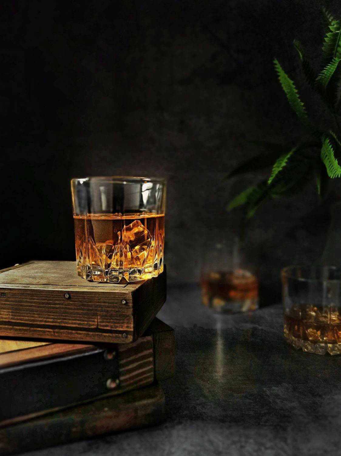 , Дина Полухина