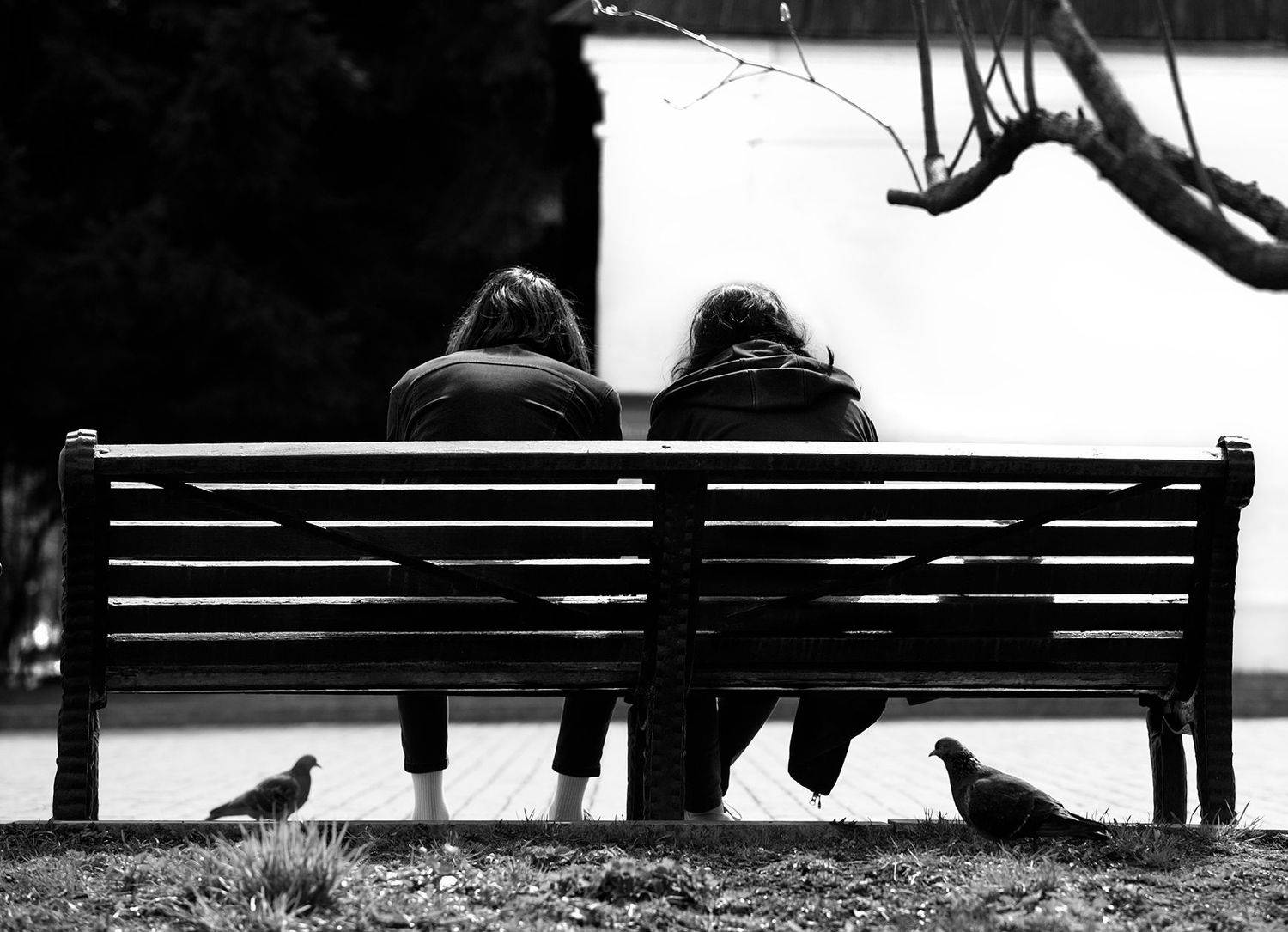 чб фото, двое и птицы, уличное фото, Vera Trandina