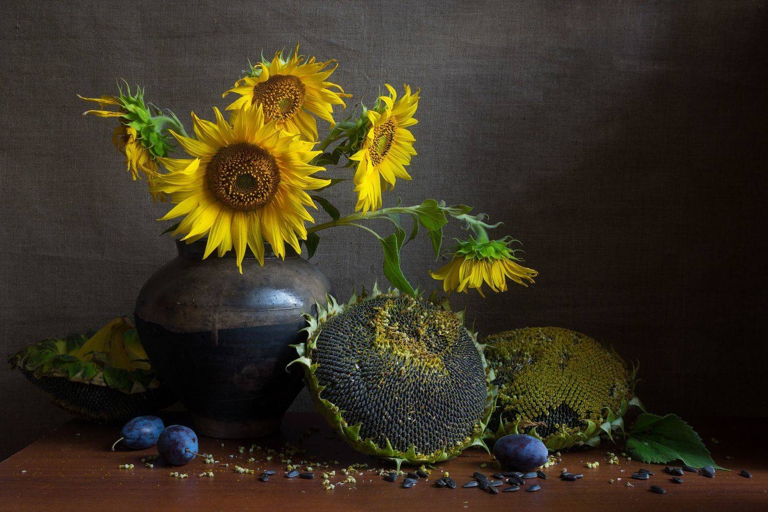 подсолнух, натюрморт, лето, Колеснева Елена