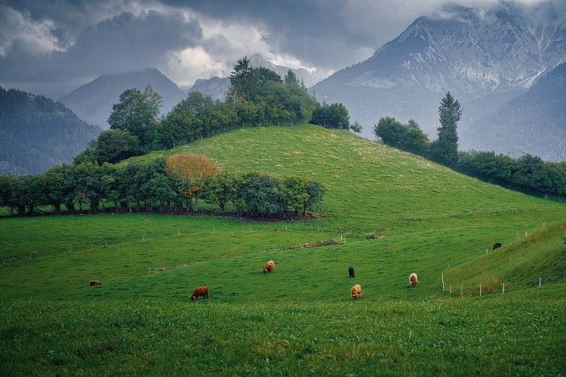 *** фото превью