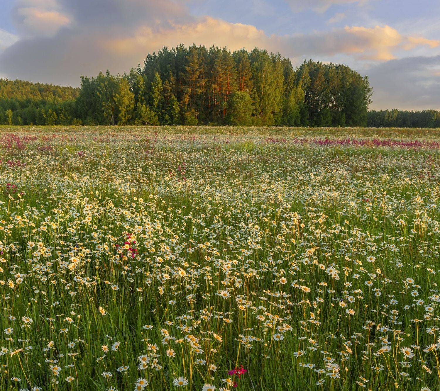 Фототуры с Владимиром Рябковым, #topnature #russpasibo #magic_shots #lovelyRussia #sunset_vision #exclusive_sky  #exclusive_shots #loves_russia2 #photoarena_nature #nature_sultans #nature_perfection #rsa_sky #rsa_sunset #photorussia #rsa_naturepics #sunse, Владимир Рябков