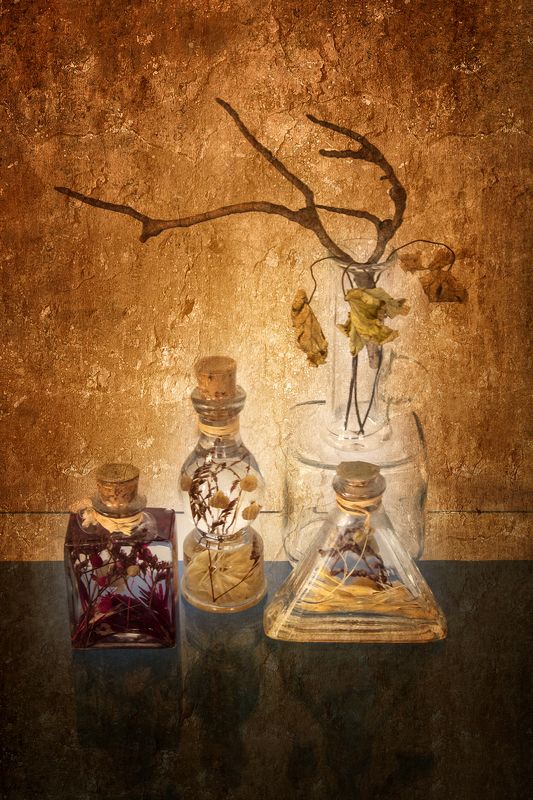 branch, bottle, bottles, color, colors, color image, decorative, dry, feeling, geranium, leaf, leaves, photograph, photography, still life, tranquility, Feeling of Tranquility фото превью