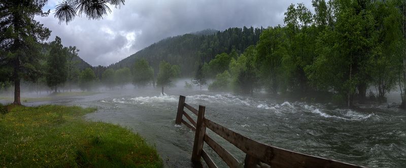 горный, алтай, бия, весна, река, наводнение Большая вода фото превью