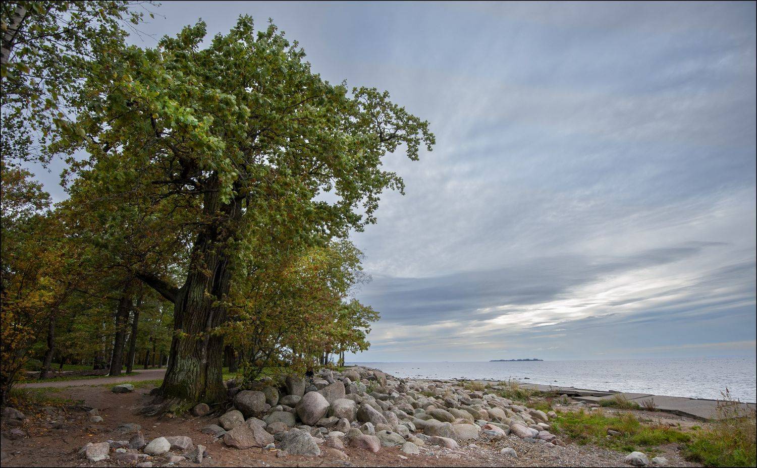 , Георгий Сапожников
