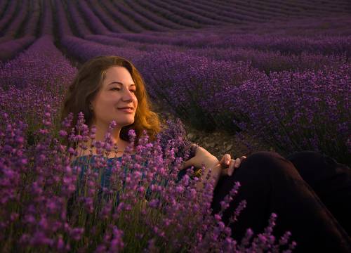 Закат в лаванде 