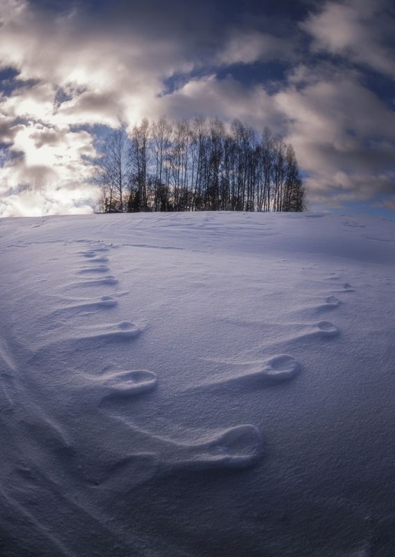 V-формация фото превью